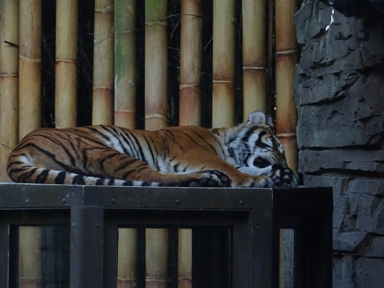 5f3cc708-9cae-439f-b733-08a519ccb270